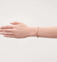 High End Stainless Steel Gold Plated Polishing Bangle Bracelet for Women Fashion Jewelry